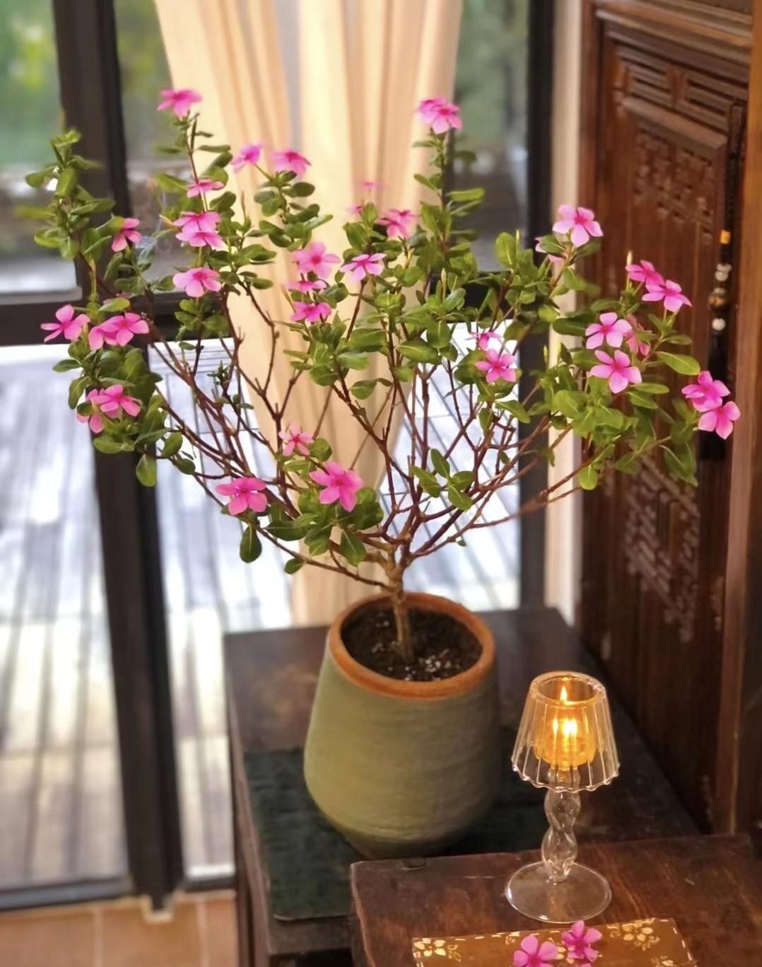 关于必发365最新登陆网址的科普讨论与犯罪问题探讨