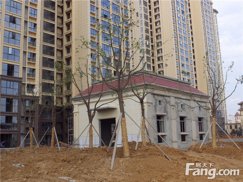 上品百合园最新动态更新