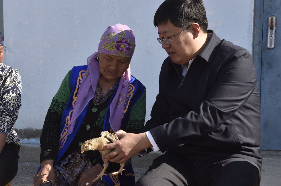 援疆王延东的最新动态与消息揭秘