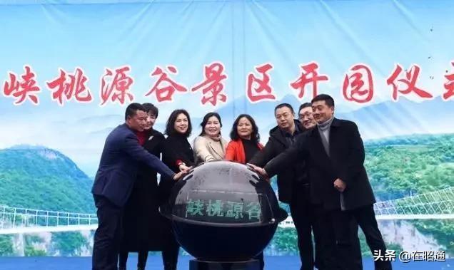 回转接头 第475页
