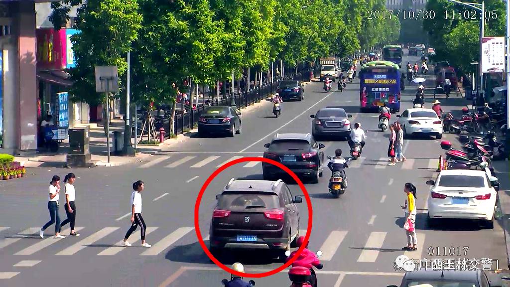 内部一码一肖,可靠执行操作方式_KRH9.450用心版