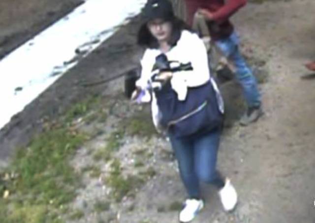 在美失踪女子最新情况，重生与内心平静的探寻之旅