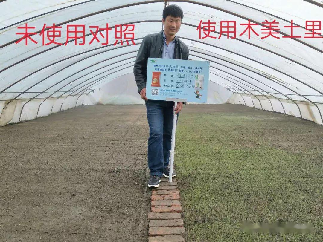 澳门中特期期期准免费资料使用方法,实时异文说明法_CZP9.509梦想版