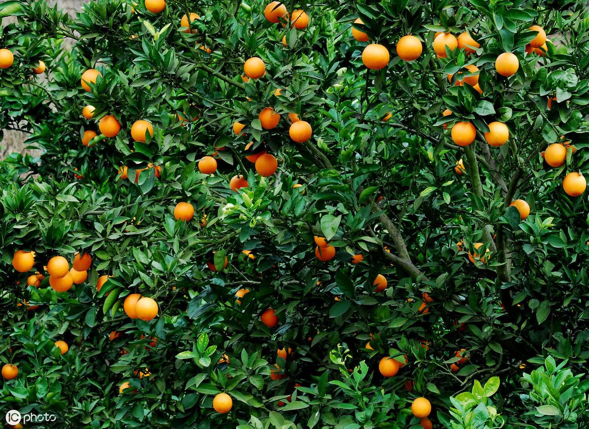 广西平南最新科技招工信息——未来触手可及