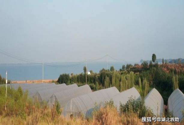 旋转接头 第487页