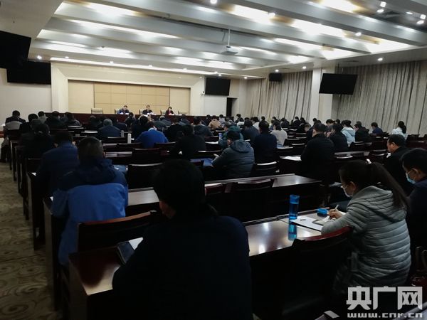 河南盐改最新动态更新，最新消息全面解读