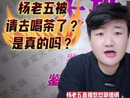 最新长毛与杨老六的美食探秘之旅，小巷深处的特色美食揭晓