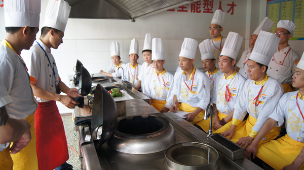潮阳棉城厨师招聘，多元视角分析最新动态