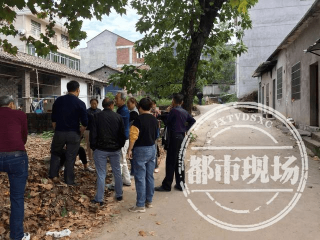 上饶万年最新杀人事件，深度分析与观点阐述