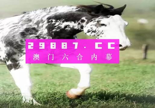 大三巴一肖一码资料站,即时解答解析分析_权限版3.582