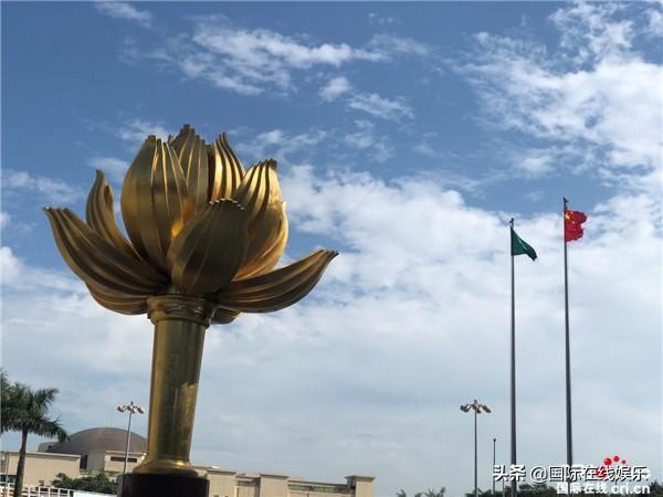 澳门49码,全面数据分析_原创版46.683