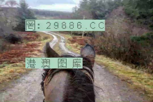 最准一肖一码一一香港澳王一王,目前现象解析描述_远光版82.285