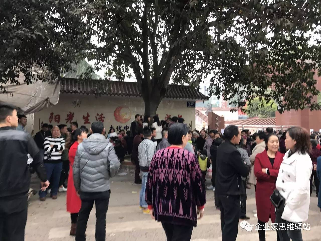 卢州太伏中学事件最新进展，科技新星引领智能校园新体验