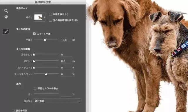 新澚门2024今晚四不像资料,灵活性执行方案_多功能版3.269