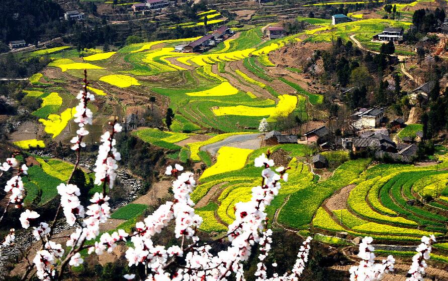 陕西宁强最新动态更新,最新消息汇总