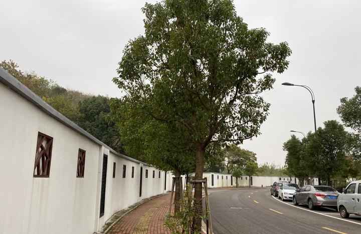 温州冷空气最新消息,日常故事中的温馨与冷空气相遇