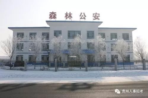 贵阳新天寨最新招聘,友情的温暖与工作奇遇的交汇点