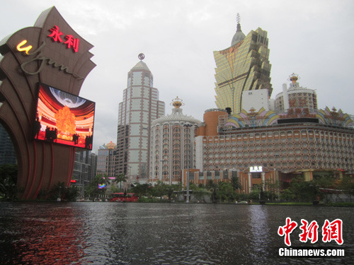 澳门今晚一肖中特,高度协调实施_艺术版95.588