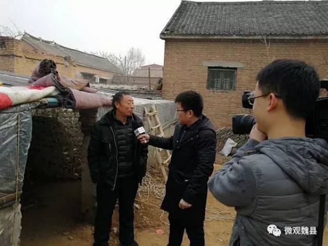 魏县王营村新鲜事,日常趣事与温情纽带最新消息报道