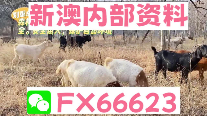 新澳今天最新资料晚上四不象,可依赖操作方案_掌中宝75.626