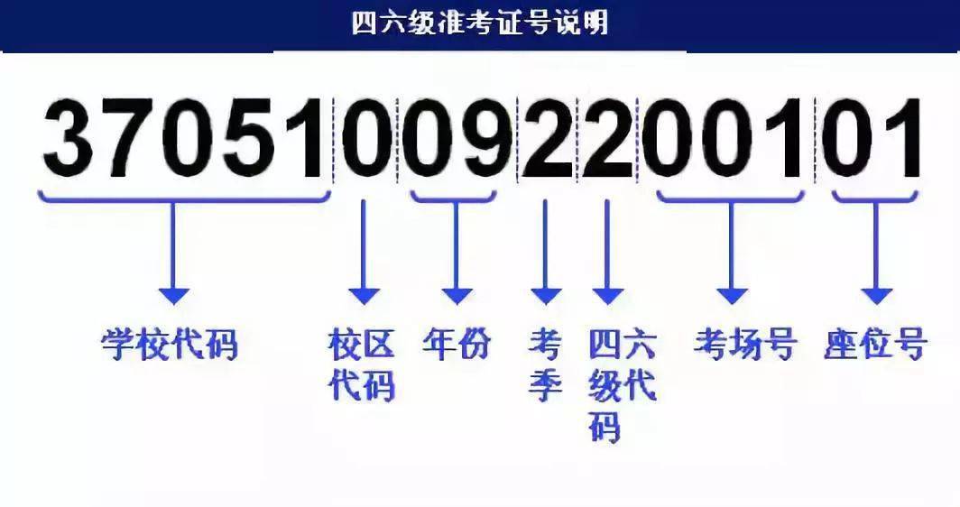 新澳门大众网官网开奖,快速解答方案设计_精致版45.190