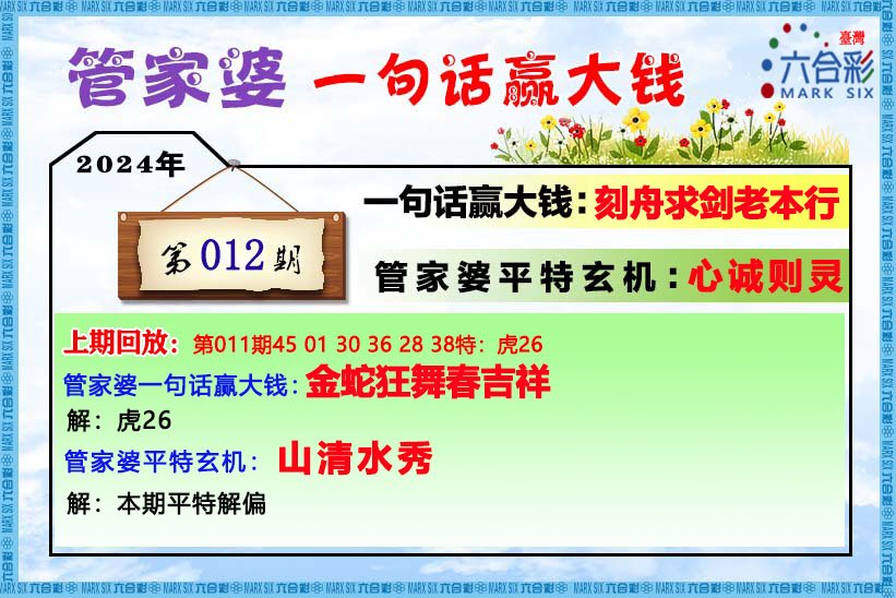 管家婆的资料一肖中特176期,解析解释说法_影像处理版62.482