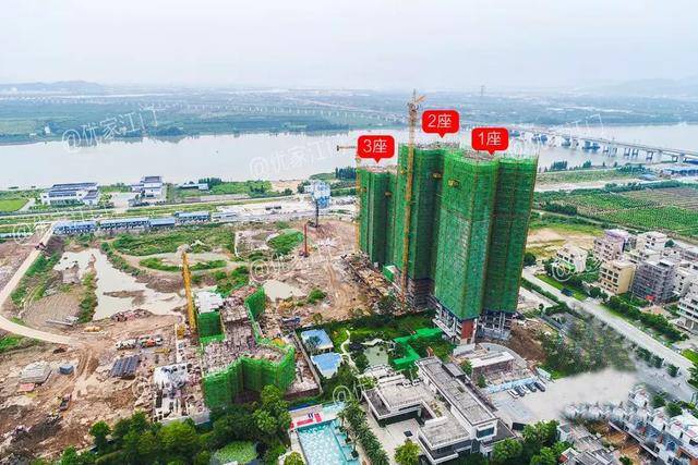 新会保障房最新动态与消息速递🔥🏡