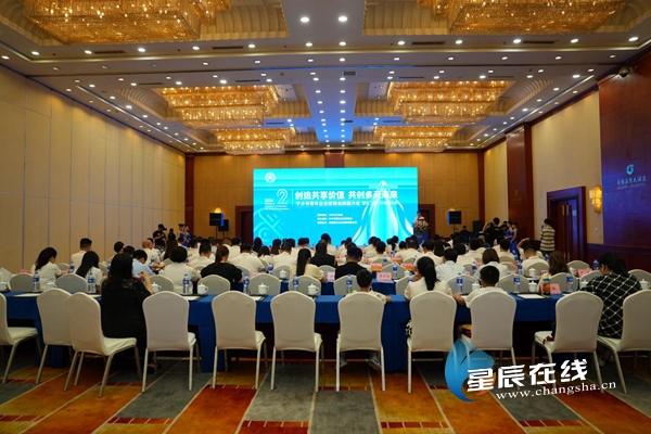 宁乡县最新领导班子引领变革,铸就自信与辉煌新篇章