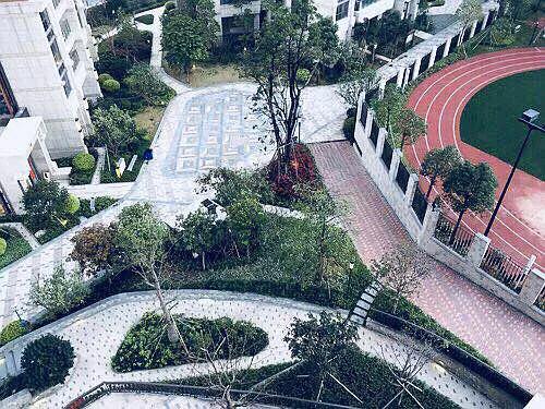 谷河大道最新动态更新