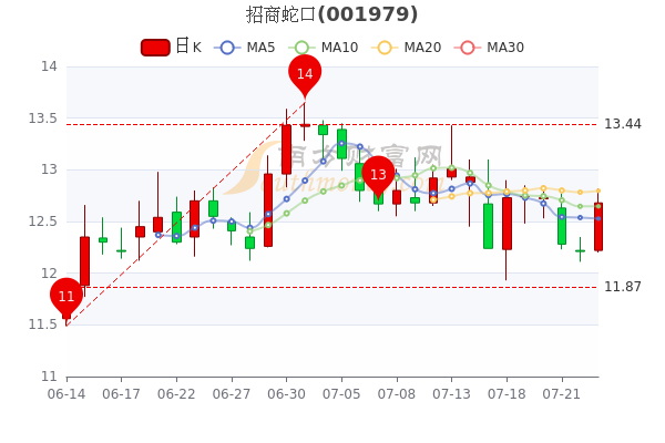招商蛇口股票最新动态，深度分析与观点阐述
