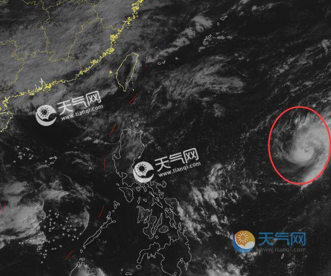 L9号台风实时更新，最新动态与信息关注
