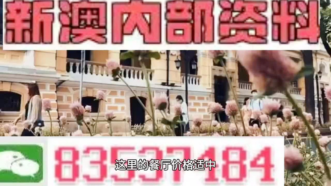 澳门免费精准材料资料大全,实地应用实践解读_传达版35.791