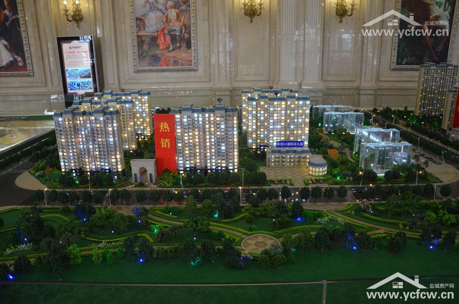 盐城西城中央最新动态深度解析，区域发展前沿观察