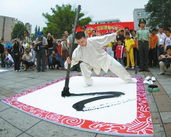 最新武术冠军传奇之路,武林地位的荣耀之路