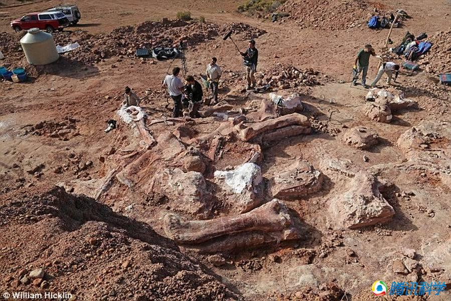 揭秘最新恐龙发现,走进恐龙世界的奇妙之旅