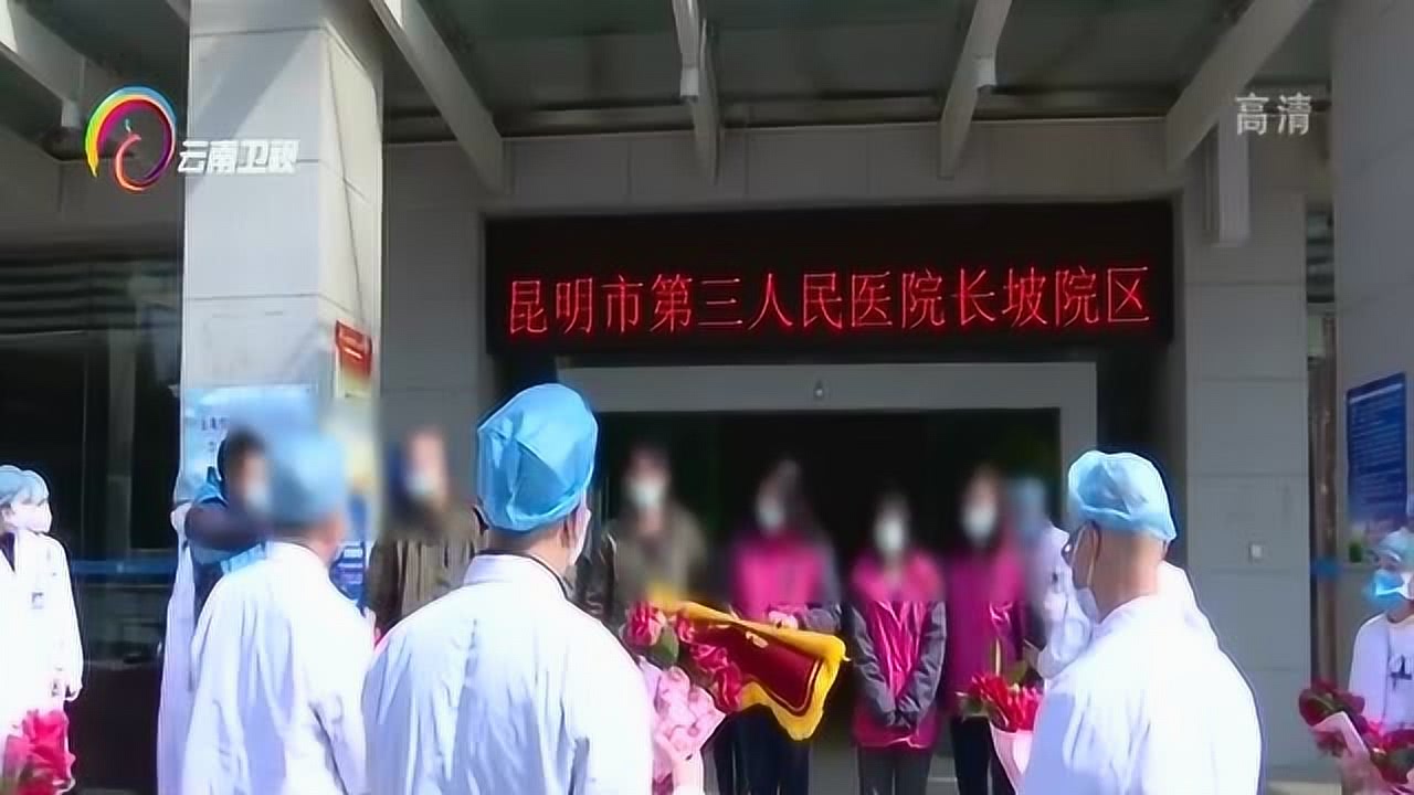 昆明地区肺炎最新动态,观点阐述与深度解析