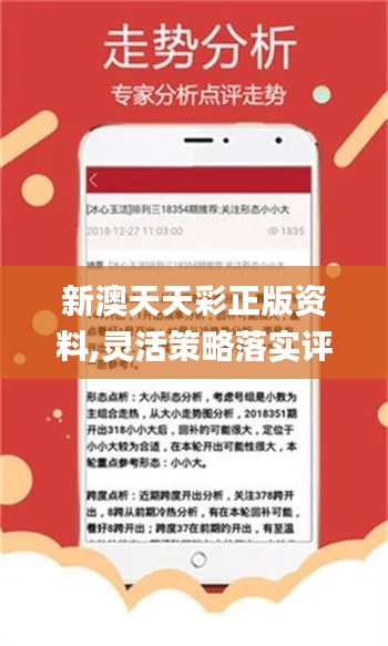 2024年新澳天天开彩最新资料,实时分析处理_炼皮境21.219