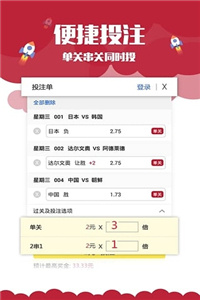 2024澳门开奖历史记录结果查询,释意性描述解_竞技版91.518