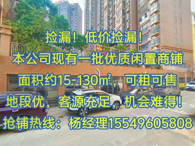 大悟最新动态更新，最新发展状况速递📣🌱