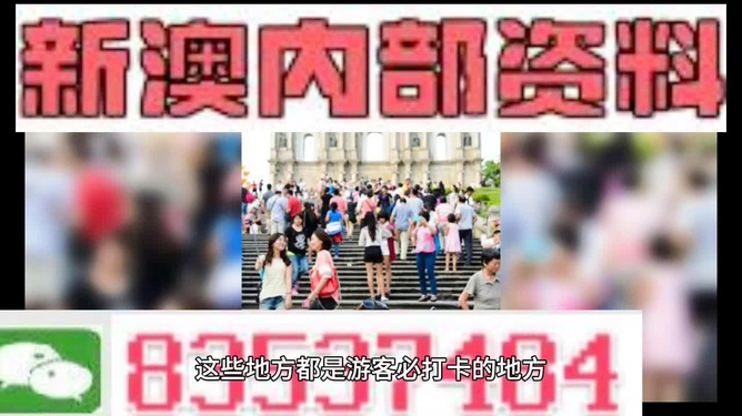 新澳精准资料大全,精准数据评估_豪华款63.950