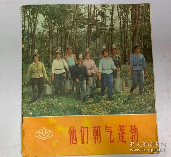 最新编潮剧——科技重塑生活体验