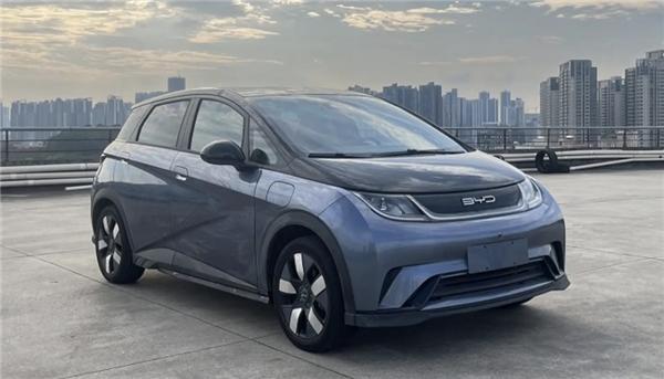 海豚最新报价详解,购买步骤指南与报价更新速递