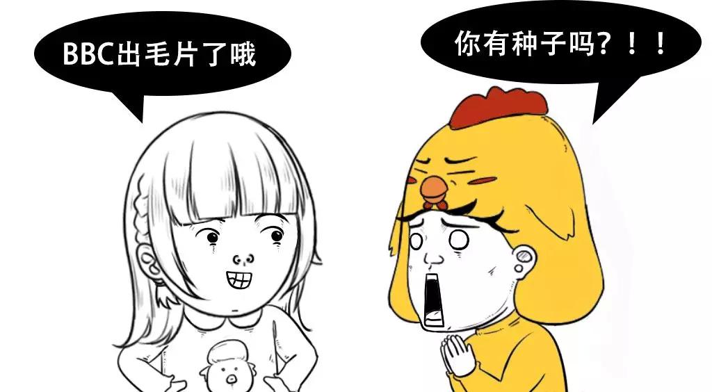 远离非法色情内容,追求健康生活方式——小红书教你如何活得精彩纷呈