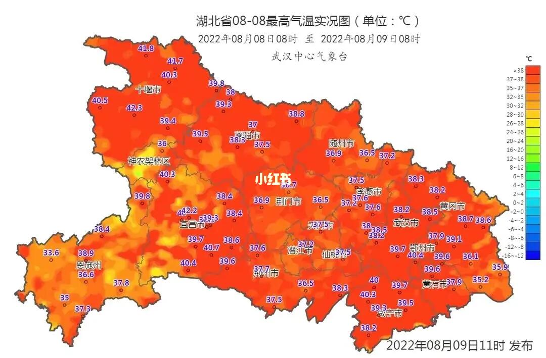 湖北最新状态,巷弄深处的独特风味探索