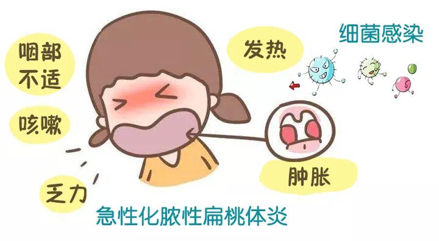 炎最新报告,自然美景探索之旅,寻求内心平和与宁静的旅程