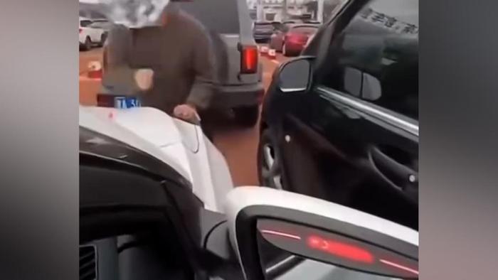 车最新视频,心灵与自然的完美交融之旅