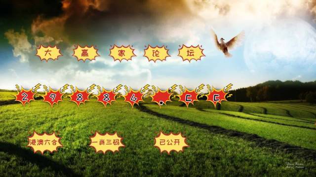 4949澳门特马今晚开奖,互动性策略设计_投入版86.294