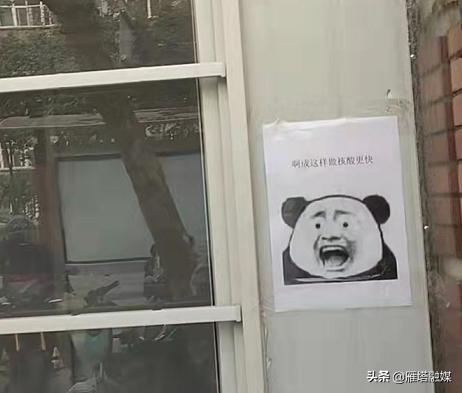 打造时尚收纳新宠,最新包窗口亮相!