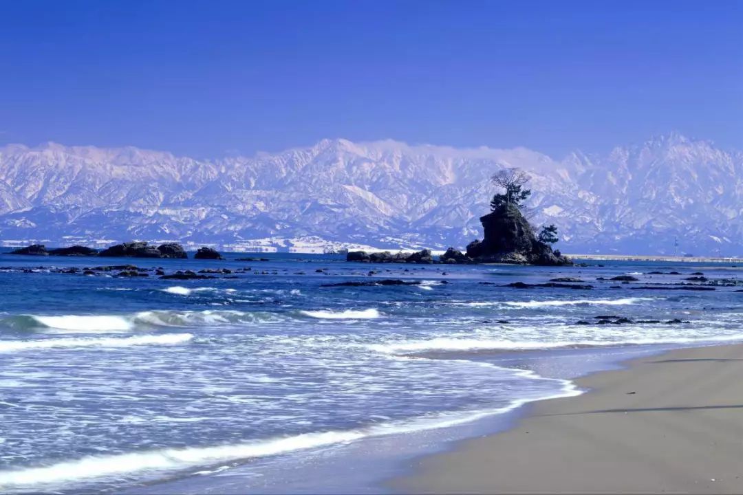 新澳好彩免费资料查询郢中白雪,动态解读分析_原汁原味版6.643