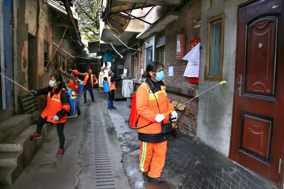 永川最新疫情动态与内心平静的自然之旅探索